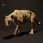 Jaguar 1/43 - Only-Games