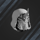 Knights of the Dark Side Helmets Set x5 - Only-Games