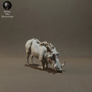 Warthog Kneel 1/20 - Only-Games