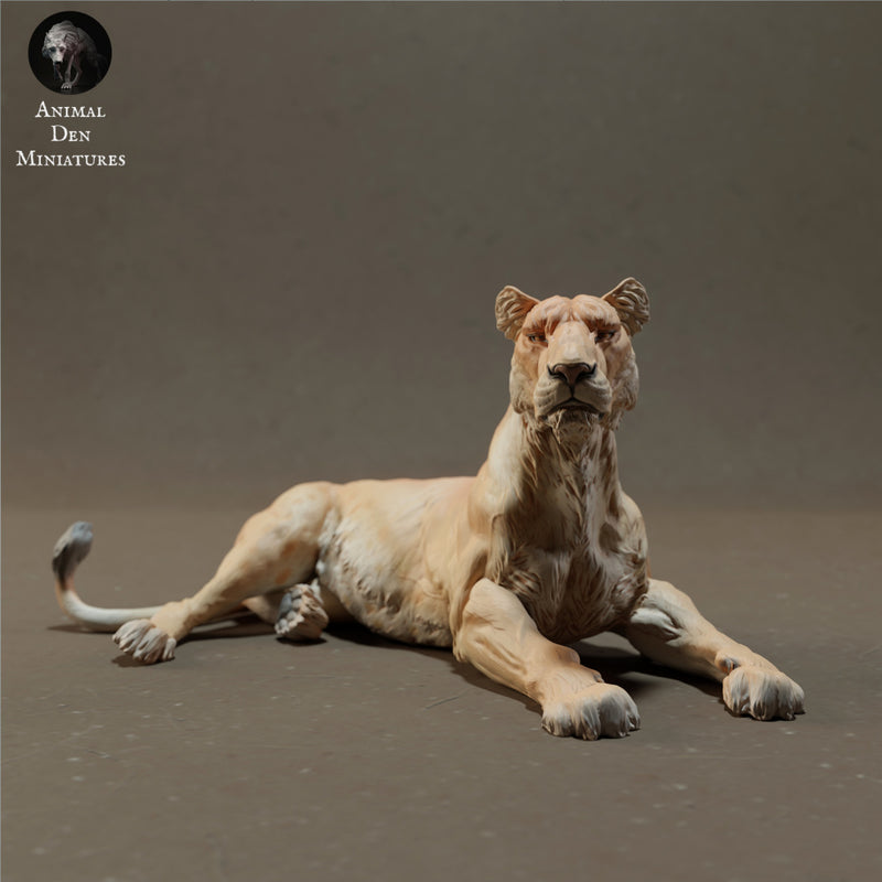 Lioness Lying 1/43 - Only-Games