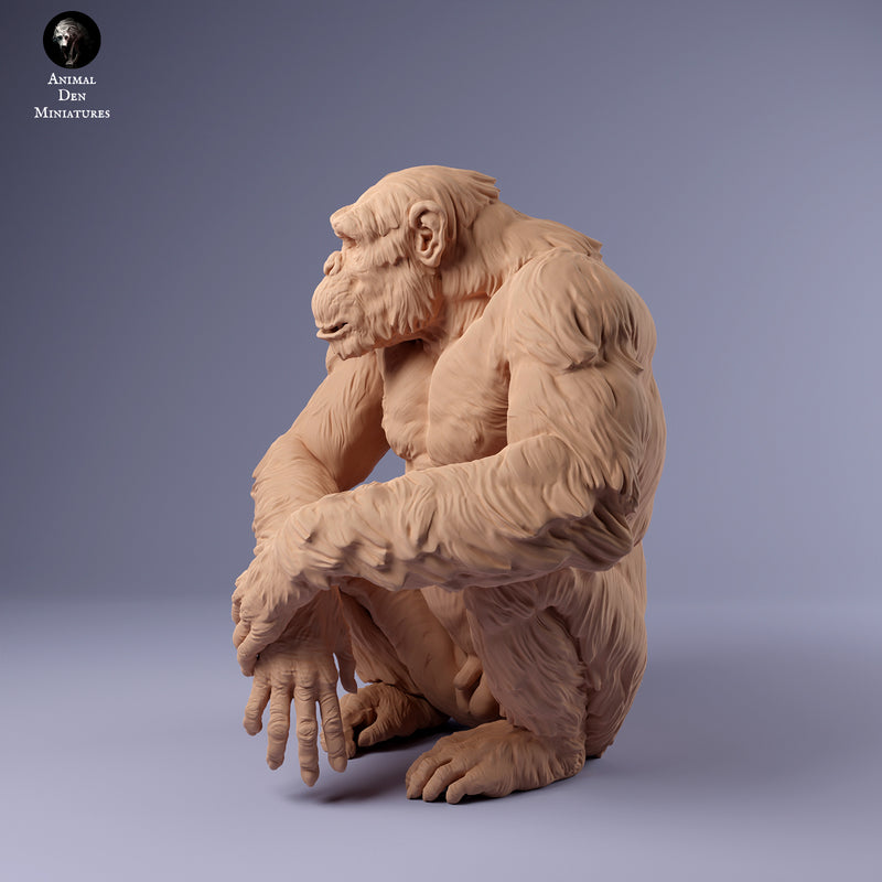 Chimpanzee Sitting 1/43 - Only-Games