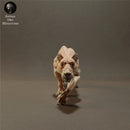 Lioness 1/43 - Only-Games