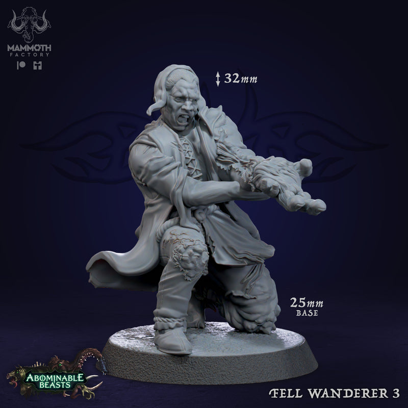 Fell Wanderer Warband - Only-Games