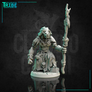 (0173) Male shaman wizard sorceror gnoll - Only-Games