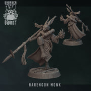Harengon Monk - Only-Games