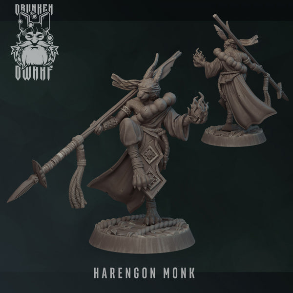 Harengon Monk - Only-Games