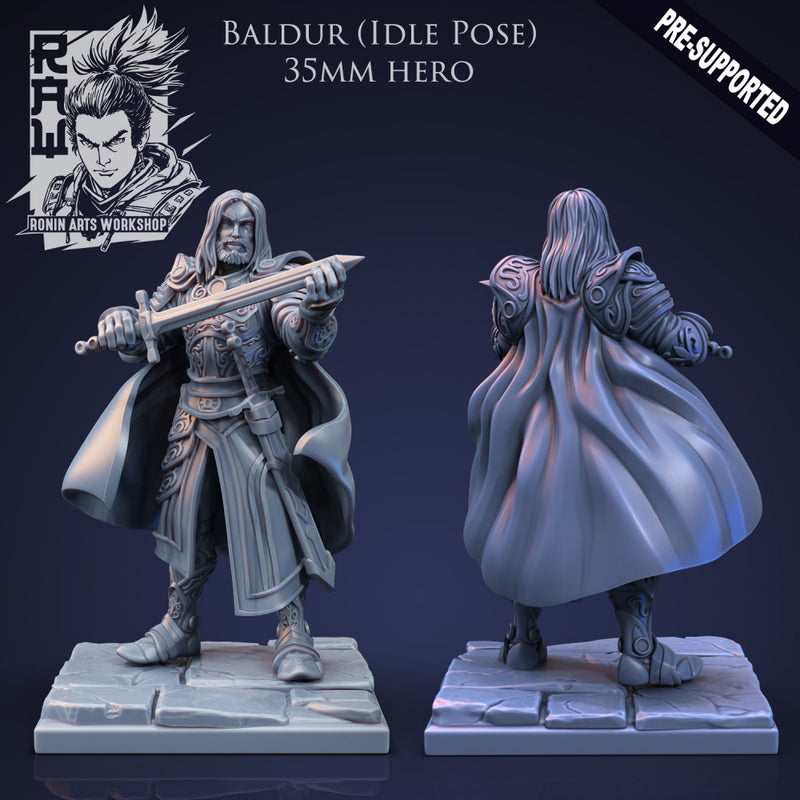 Baldur The Fighter - Idle and Action Pose - Only-Games