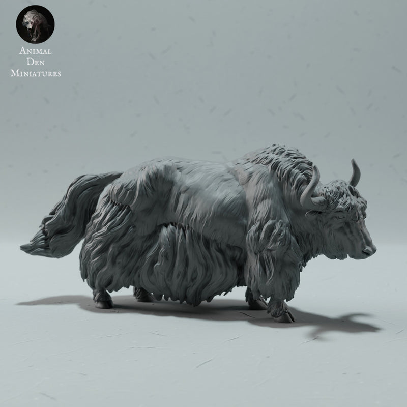 Himalayan Wild Yak - Only-Games