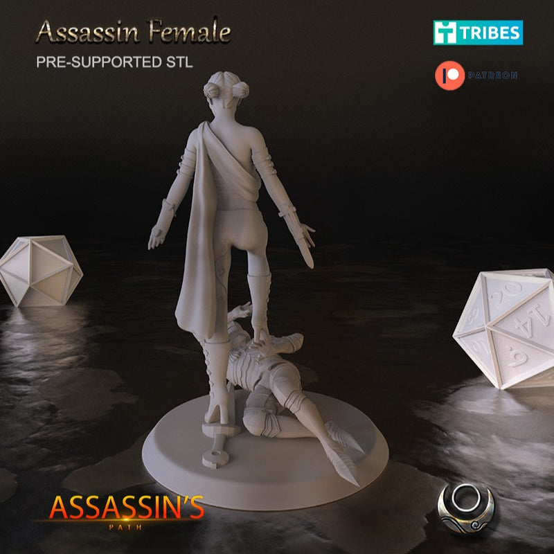 Assassin Female - Only-Games