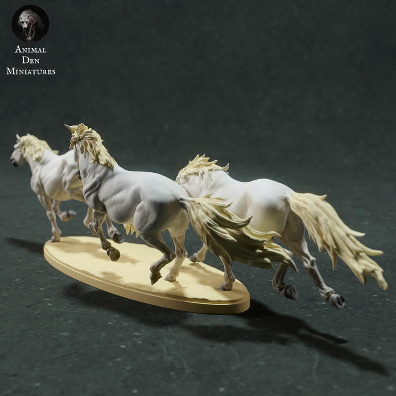 Camargue Horses Run 1/43 - Only-Games