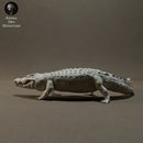 Nile Crocodile 1/43 - Only-Games