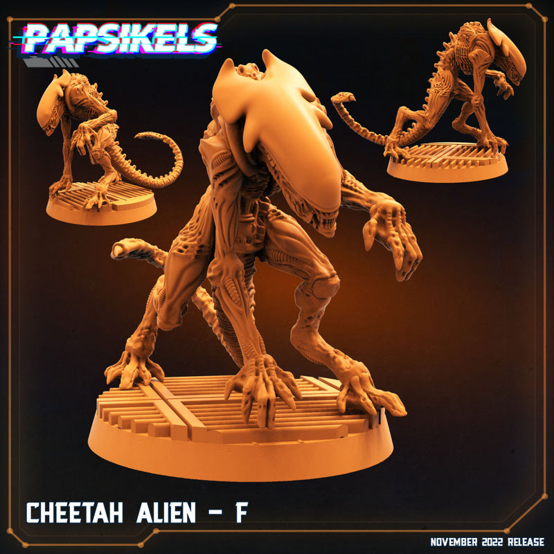 CHEETAH ALIEN - F - Only-Games