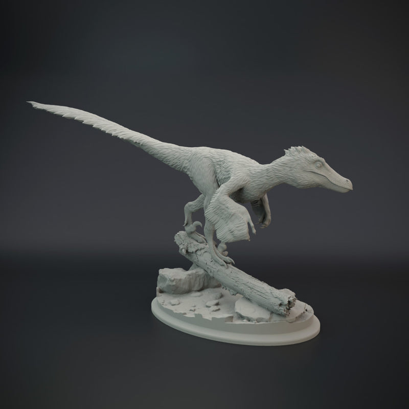 Velociraptor pack 1/20 scale - dinosaur - Only-Games