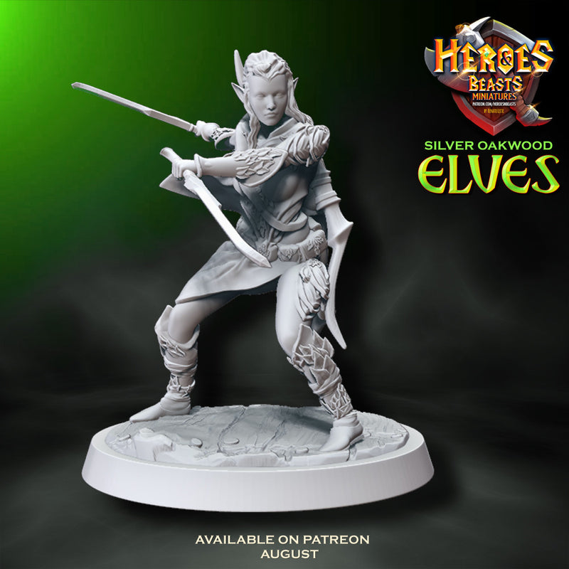 Female wood Elf ( with daggers) - Only-Games