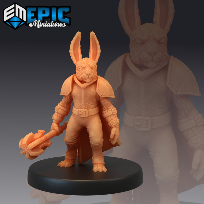 Bunny Paladin / Rabbit Warrior / Rodent Soldier / Hare Army - Only-Games