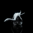 Elasmosaurus swimming 1-35 scale marine reptile - Only-Games