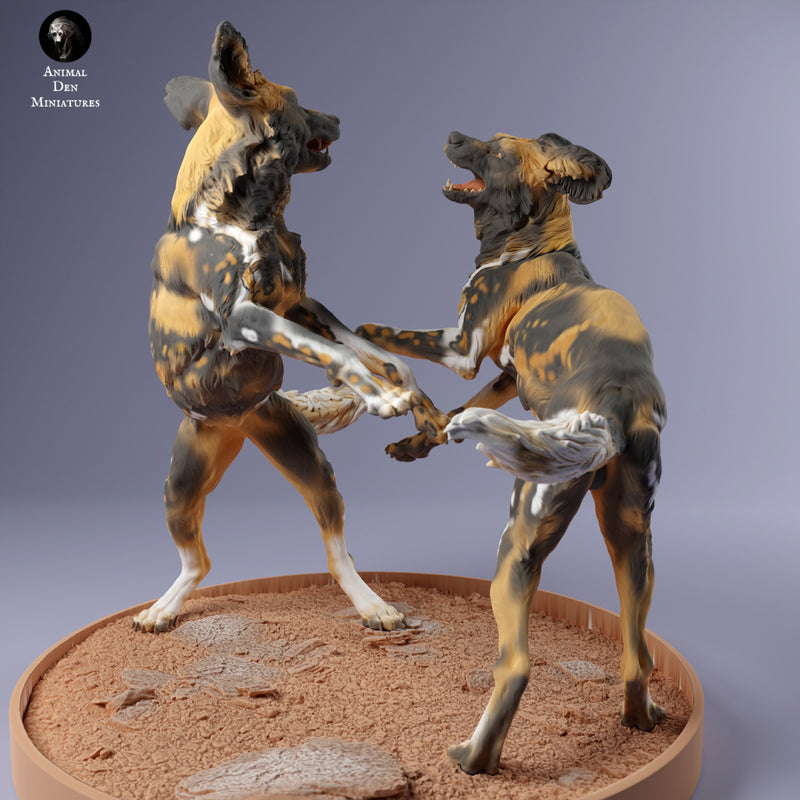 African Painted Dogs Playing 1/35 - Only-Games