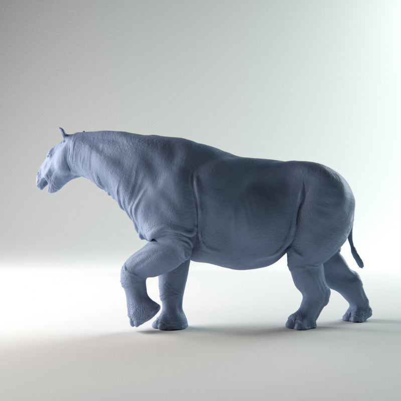 Paraceratherium prehistoric rhinoceros 1-35 scale - Only-Games