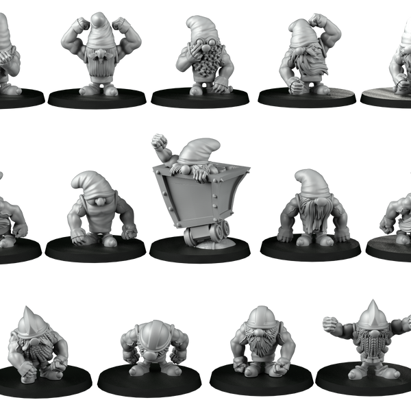 Seven Dwarf Complete Team 17 miniatures - Only-Games