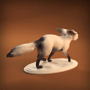 Fennec Fox - Only-Games