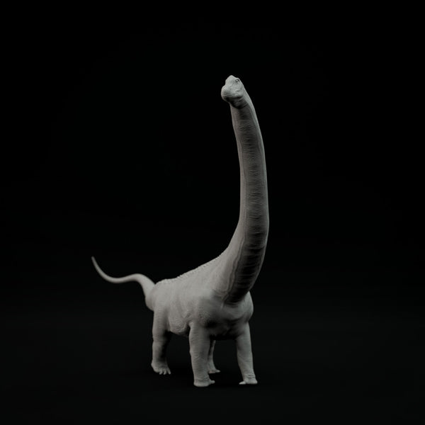Argentinosaurus 1-100 scale dinosaur - Only-Games