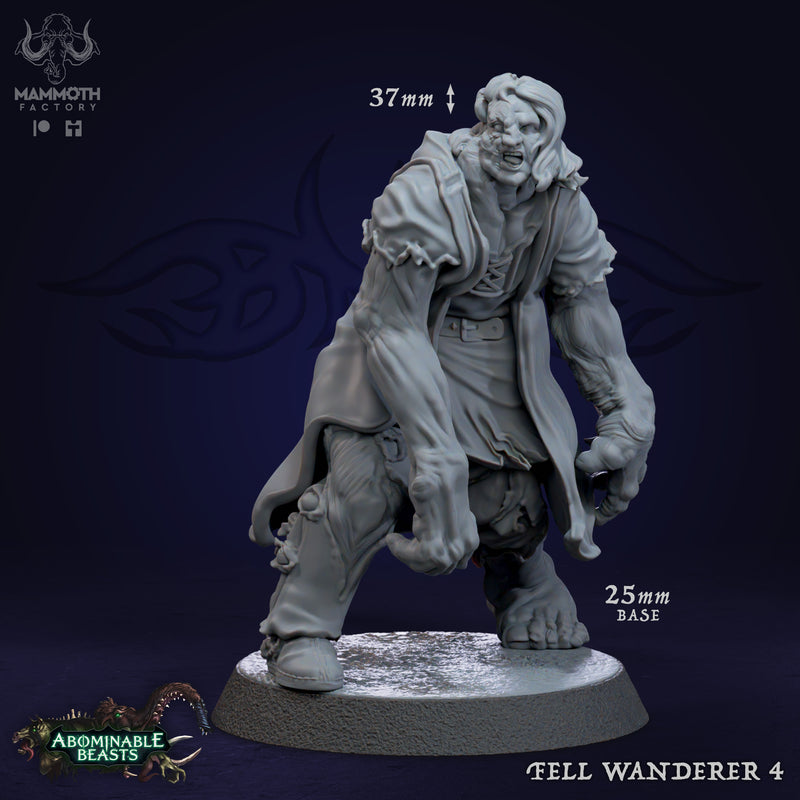 Fell Wanderer Warband - Only-Games