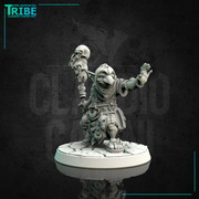 (0165) Male goblin wizard sorceror druid with magic club - Only-Games