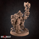 Olda, the Tortle Druid - Only-Games