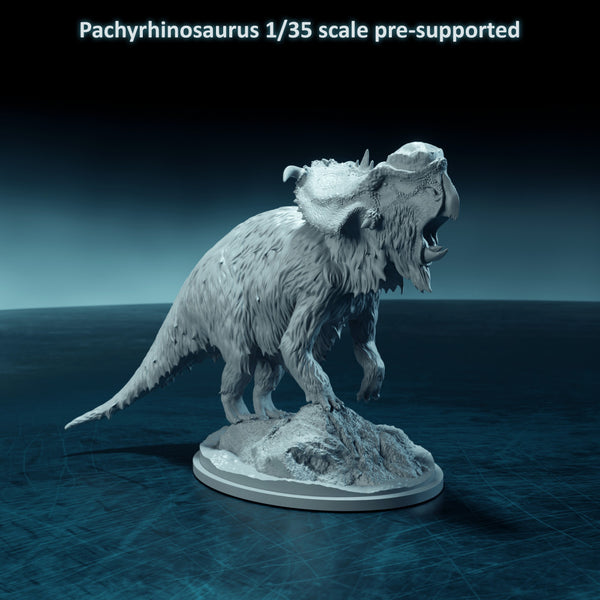 Pachyrhinosaurus roaring  1-35 scale dinosaur - Only-Games