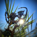 APEX SKULL HUNTER CHOKE LORD - Only-Games