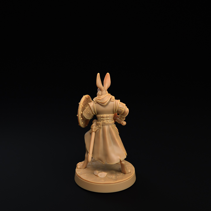 Rabbit Soldier A w/ Sword - Only-Games