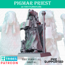 Pigmar Priest - Only-Games