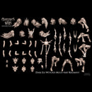 Dark Elf Witches multi-part regiment (20 miniatures) - Only-Games