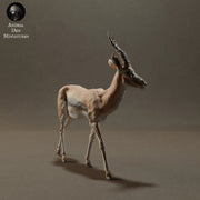 Thomson's Gazelle 1/20 - Only-Games