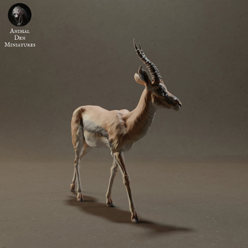 Thomson's Gazelle 1/20 - Only-Games