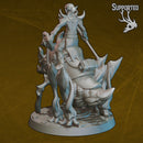 Elf Rider - C - Only-Games