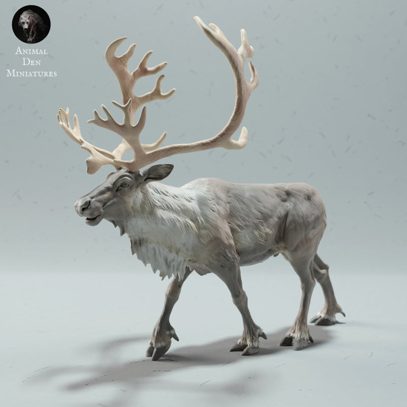 Reindeer / Caribou Bull Calling - Only-Games