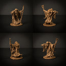 Wizard Polias Playset - Only-Games