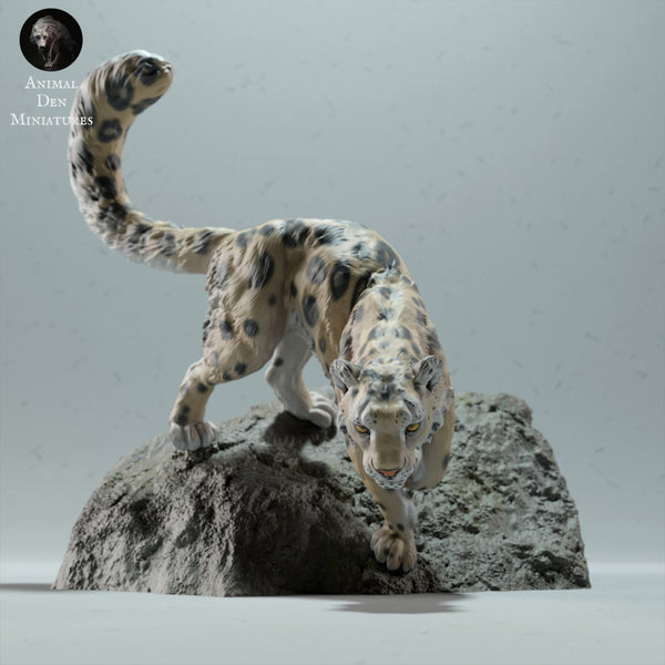 Snow Leopard on a Boulder - Only-Games