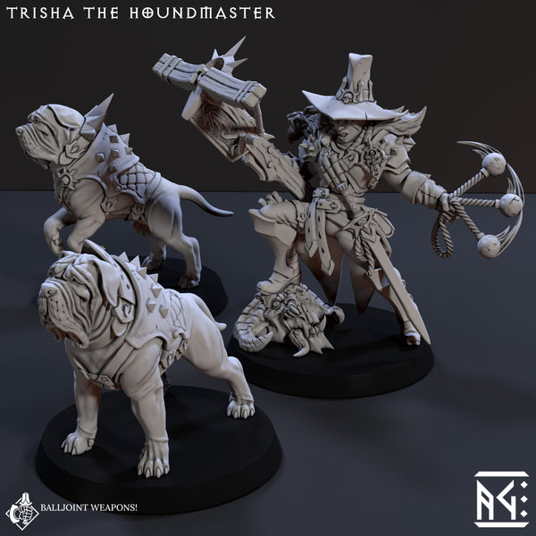 Trisha The Houndmaster (Requiem Demon Hunters) - Only-Games