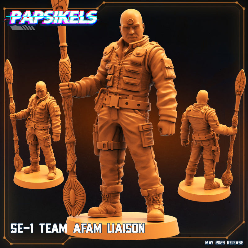 SE-1 TEAM AFAM LIAISON - Only-Games