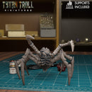 Giant Spider Bundle - 32mm - DND - Pathfinder - Only-Games