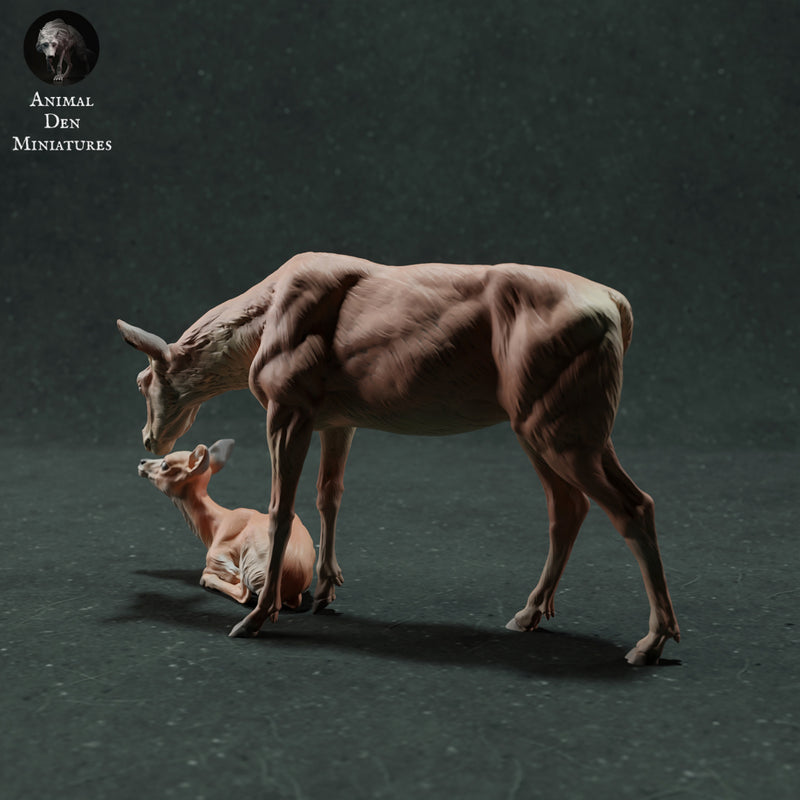 Red Deer Hind and Fawn 1:32 - Only-Games