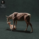 Red Deer Hind and Fawn 1:32 - Only-Games