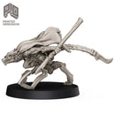 Wily The Shadow - Demi Dragon Thief - Only-Games