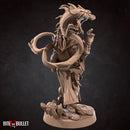 Dragonborn Wizard - Only-Games