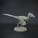 Velociraptor pack 1/20 scale - dinosaur - Only-Games