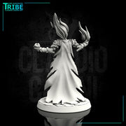 (0032) Female human elf half orc tiefling elemental fire wizard - Only-Games