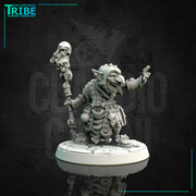 (0123) Male goblin wizard sorceror druid with magic club - Only-Games