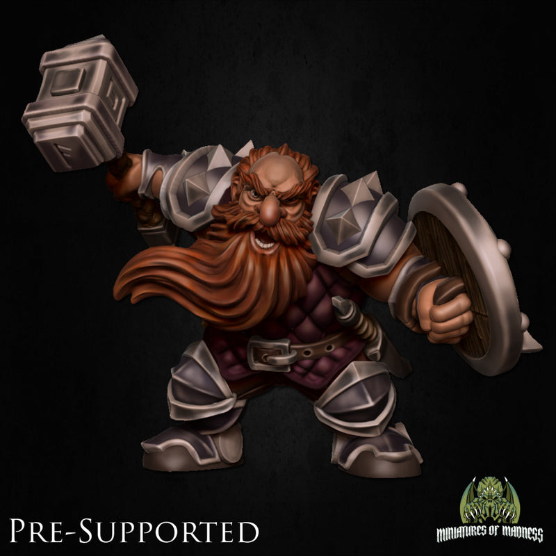 Tumnus Coldhug [32mm Scale] Dwarf Fighter - Only-Games